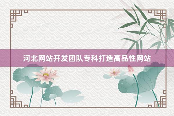 河北网站开发团队专科打造高品性网站